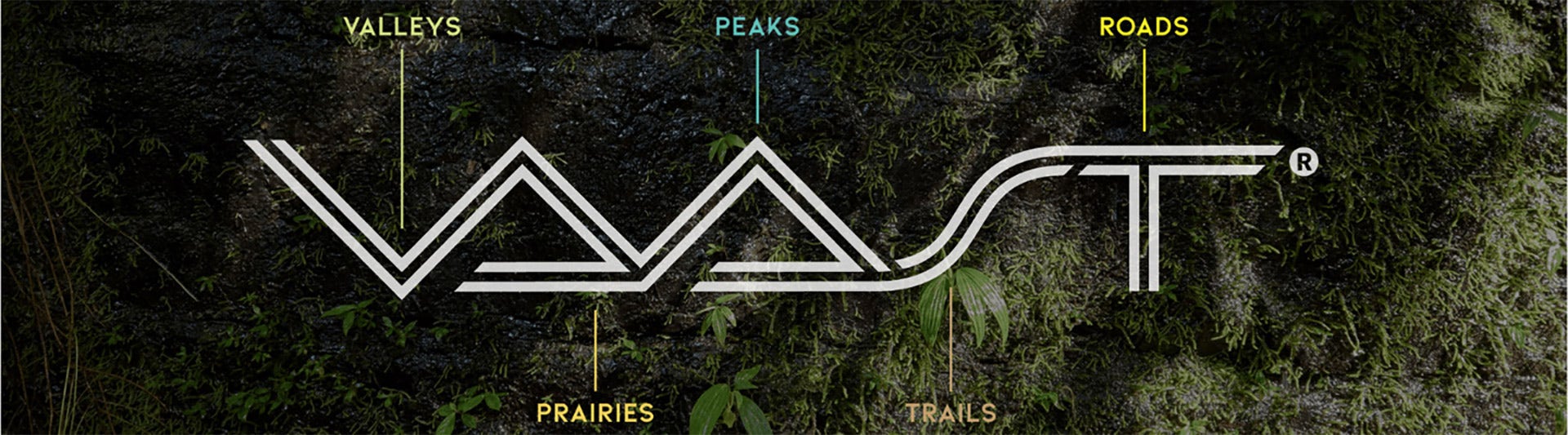 vaast_about_logo_infographic