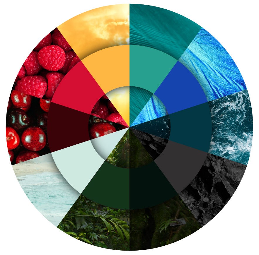 vaast_about_logo_infographic